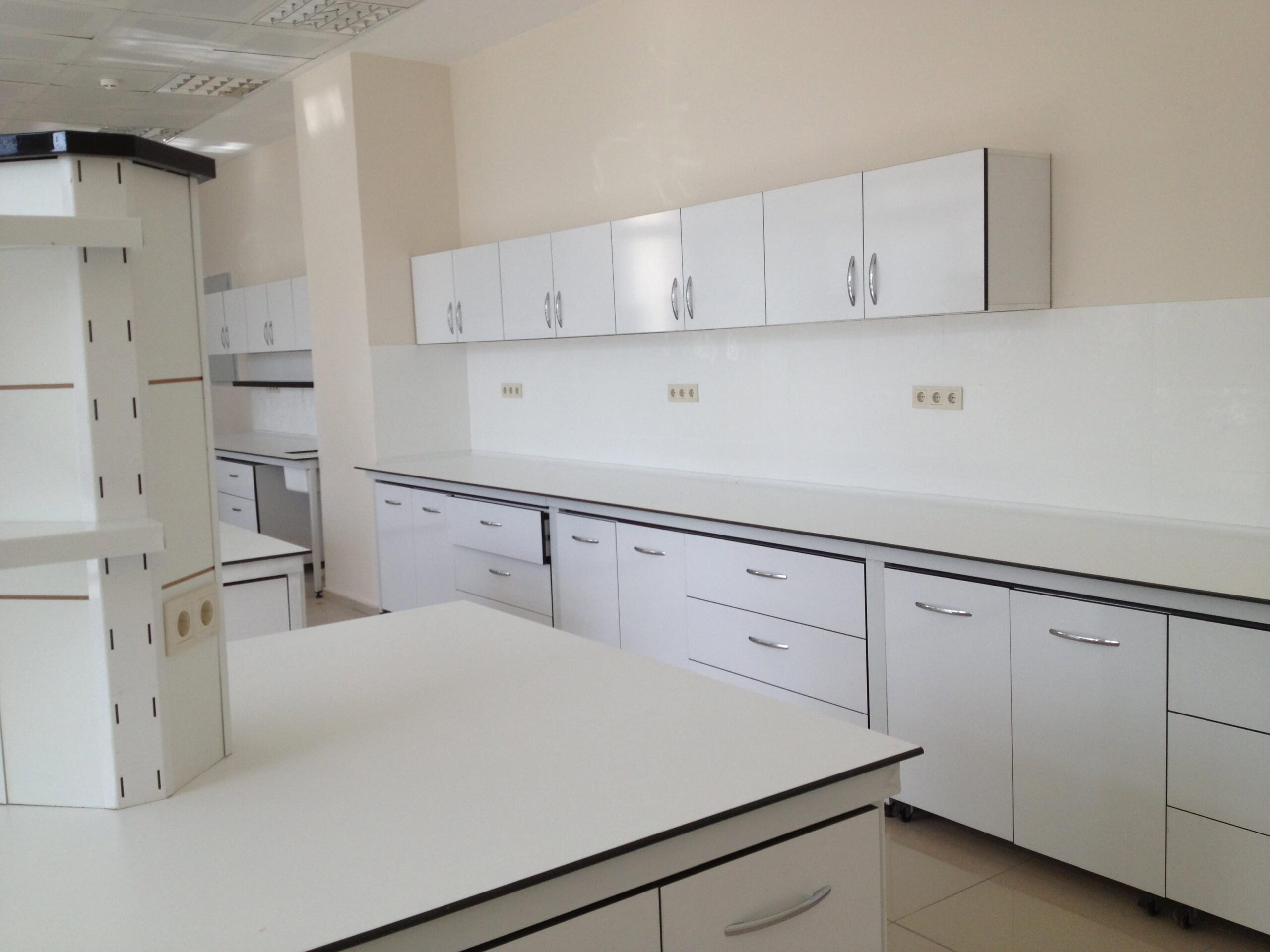 Dicle Ünv Morfoloji Lab